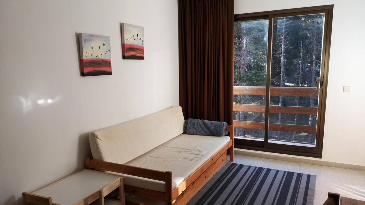 La Coma I la Pedra Apartment | Apartamento a 200 metros de Port del Comte SKI