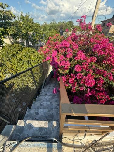 Pedernales Apartment | Apartamento Hungria