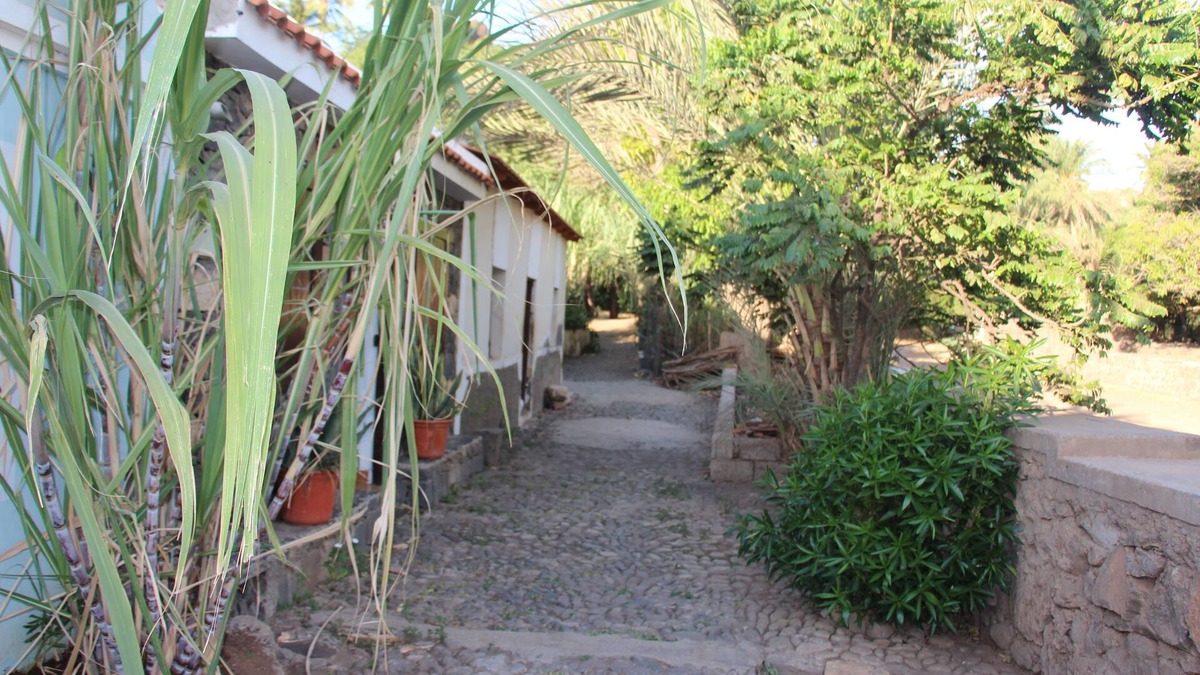 Cidade Velha Hotel | Apartamento Laranjinha