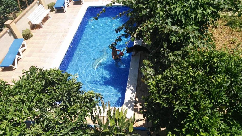 Argentona Apartment | Apartamento Mar y Montaña