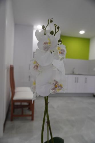 Lumbrales Apartment | Apartamento Sanin 3