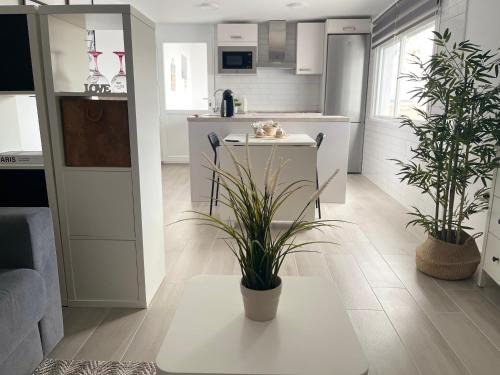Fuente Obejuna Apartment | Apartamento Victoria Deluxe