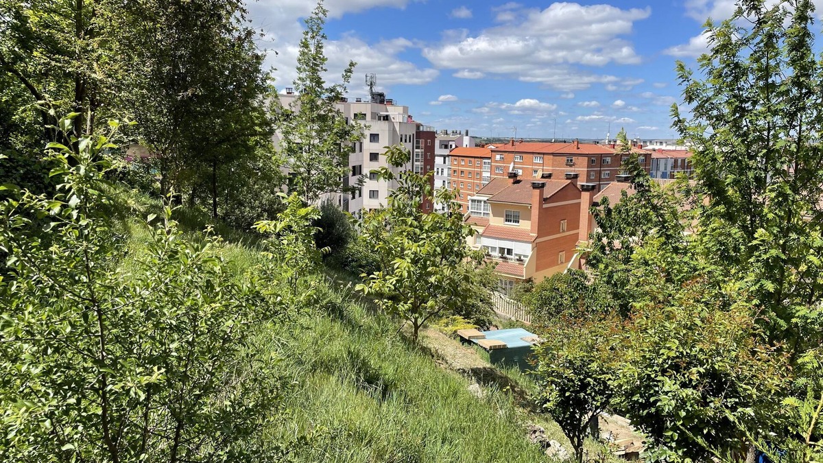 Burgos Apartment | Apartamentos Aljama