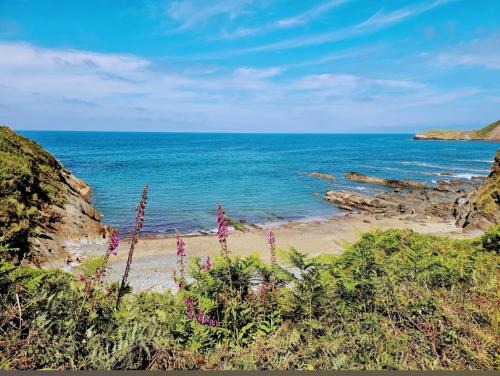 Gozon House | Apartamentos casa Carola