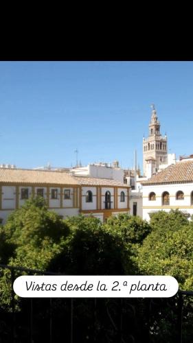 Santa Cruz Apartment | Apartamentos en la Plaza Doña Elvira, 7