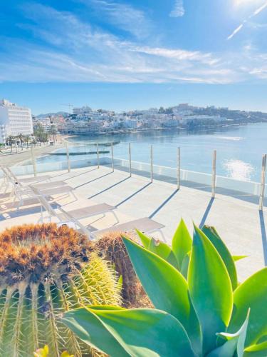 Figueretas Apartment | Apartamentos Llobet Ibiza