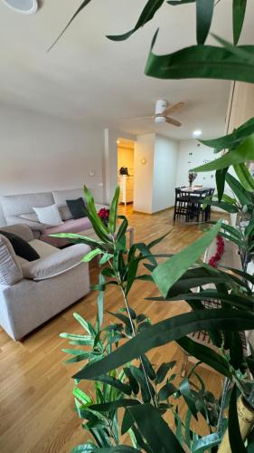 Iscar Apartment | Apartamentos Suites Iscar
