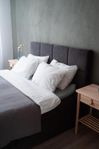 Talsi Apartment | Apartaments Nr.33 (Viesu Nr.3)