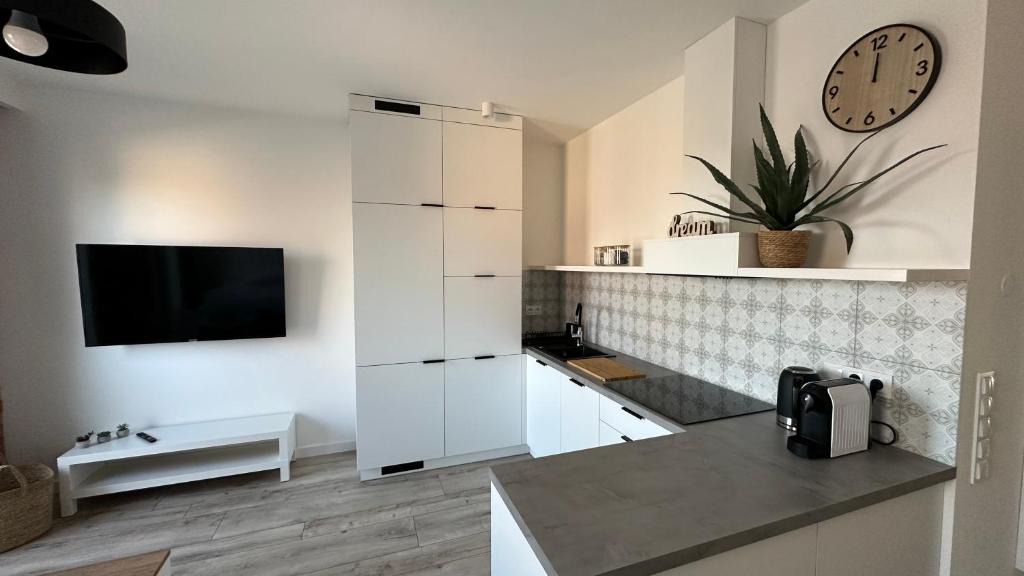 Srem Apartment | Apartamenty Mickiewicza40