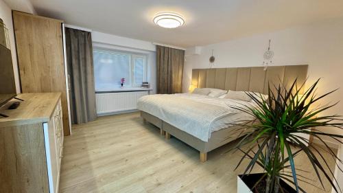Bochnia Apartment | Apartamenty Oracka Przystań Solna 1