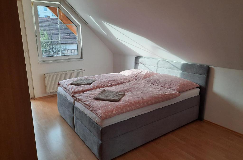 Nemsova Apartment | Apartmán Chiarita