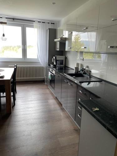 Zelezna Ruda Apartment | Apartmán Hojsova Stráž