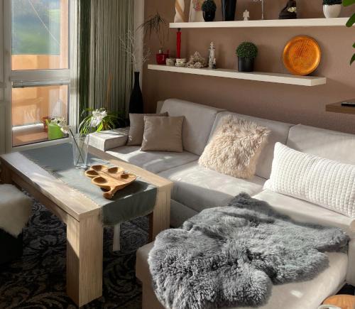 Luhacovice Apartment | Apartmán Luhačovice