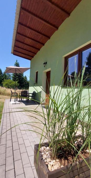 Nebrich Apartment | Apartmán Nová Živohošť, Slapy, Slapská přehrada. Pouze týdenní pobyt so -so