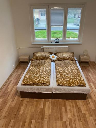 Ostrov Apartment | Apartmán ve městě Ostrov pro 3 osoby