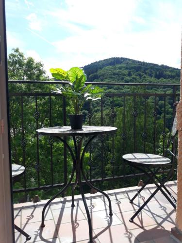 Jachymov Apartment | Apartmány Marie Jáchymov