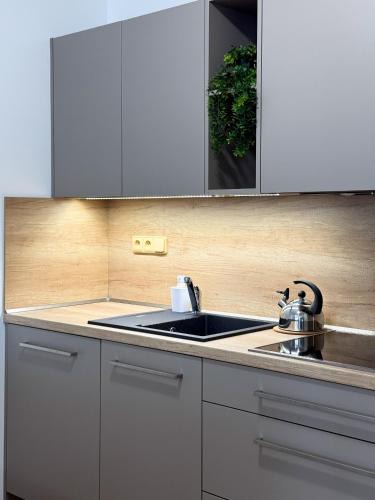 Znojmo Apartment | Apartmány na Bolzance