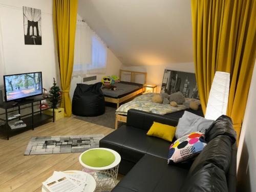Roznov Pod Radhostem Apartment | Apartmány Tylovice