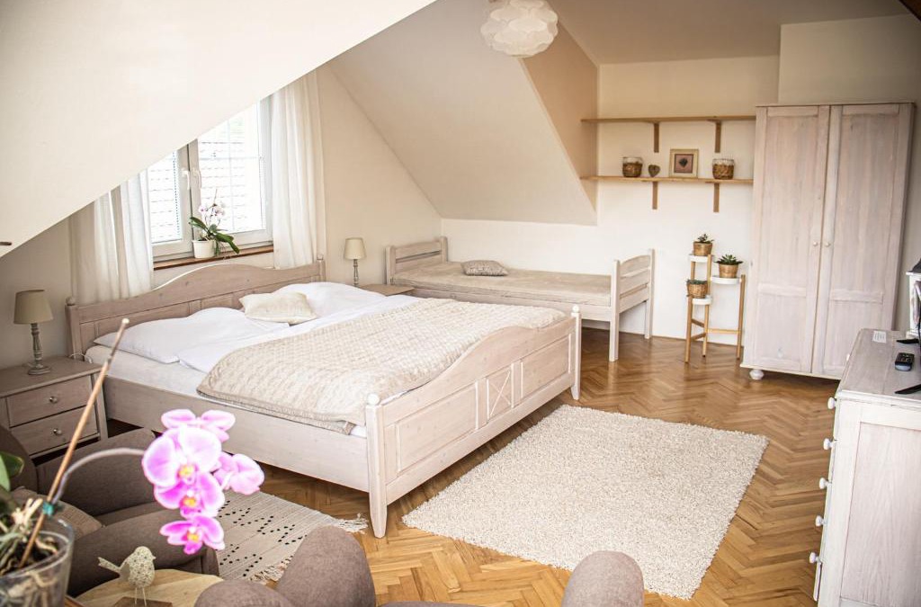 Luhacovice Apartment | Apartmány u Petry