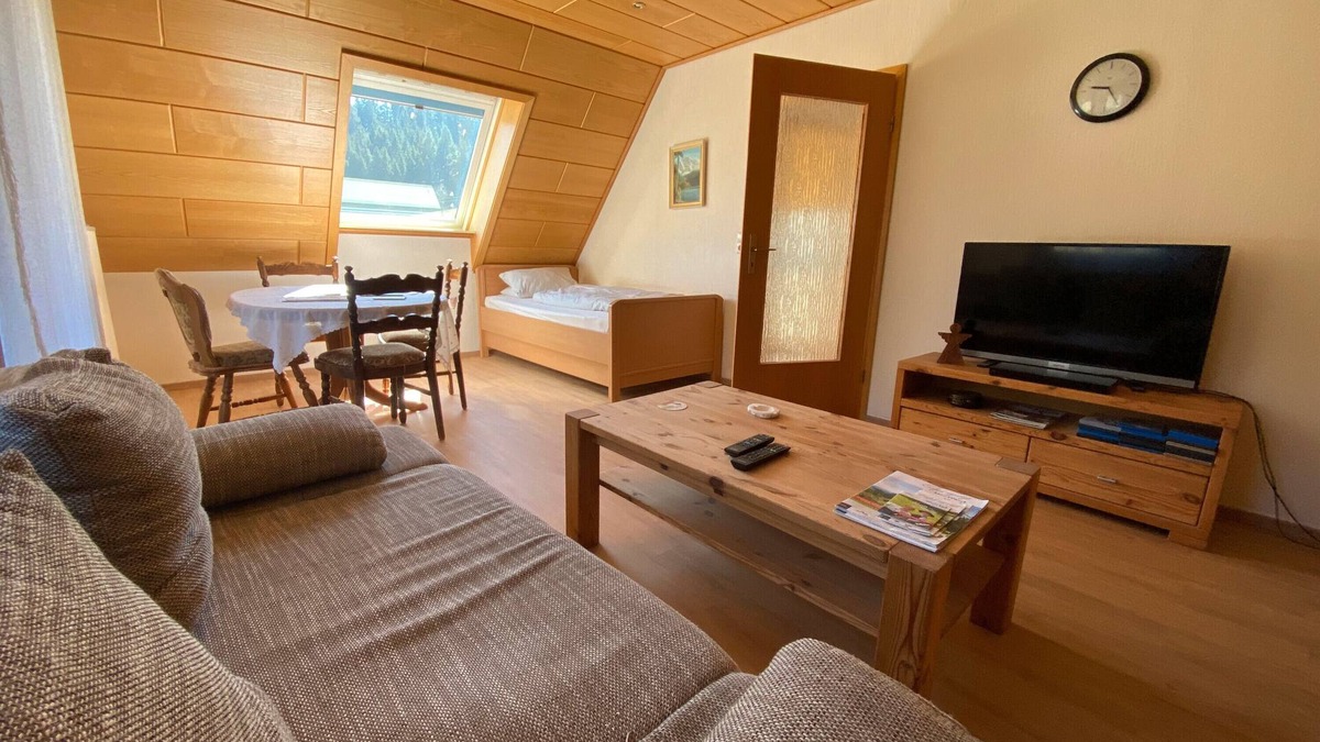 Bad Rippoldsau-Schapbach Apartment | Apartment '2' with Mountain View, Shared Garden and Wi-Fi