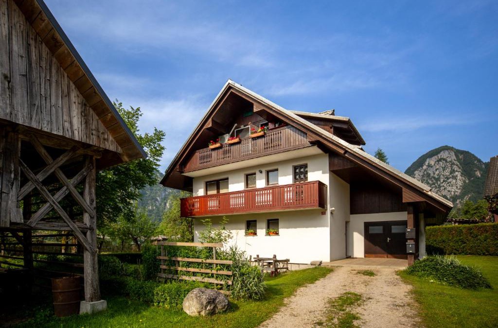 Srednja Vas v Bohinju Apartment | Apartma Ivano