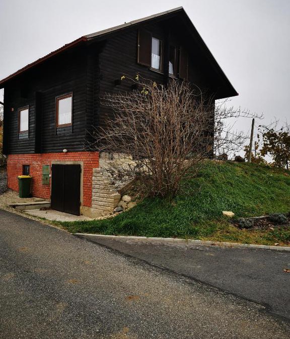 Ljutomer Apartment | Apartma med vinogradi