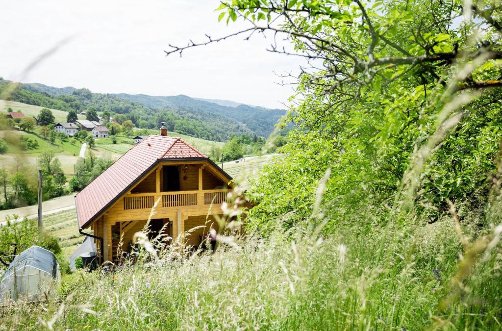 Lasko Apartment | Apartma Smithy (Kovačnica)