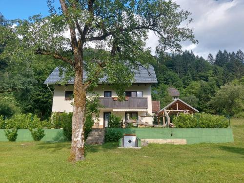 Soca Apartment | Apartmaji Katrč