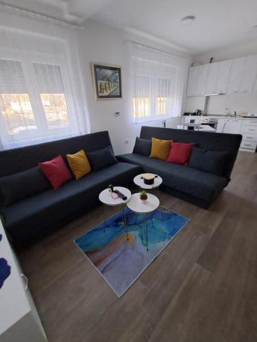 Stari Banovci Apartment | Apartman Jass
