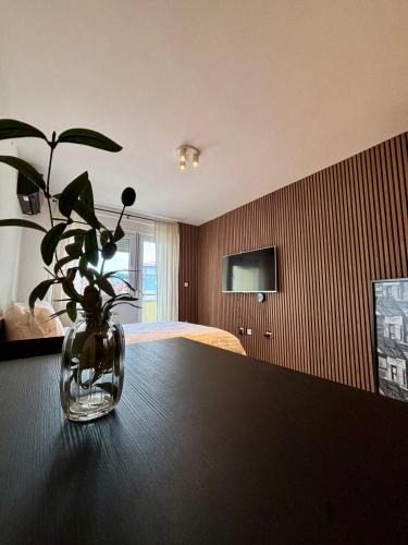 Doboj Apartment | Apartman MINI