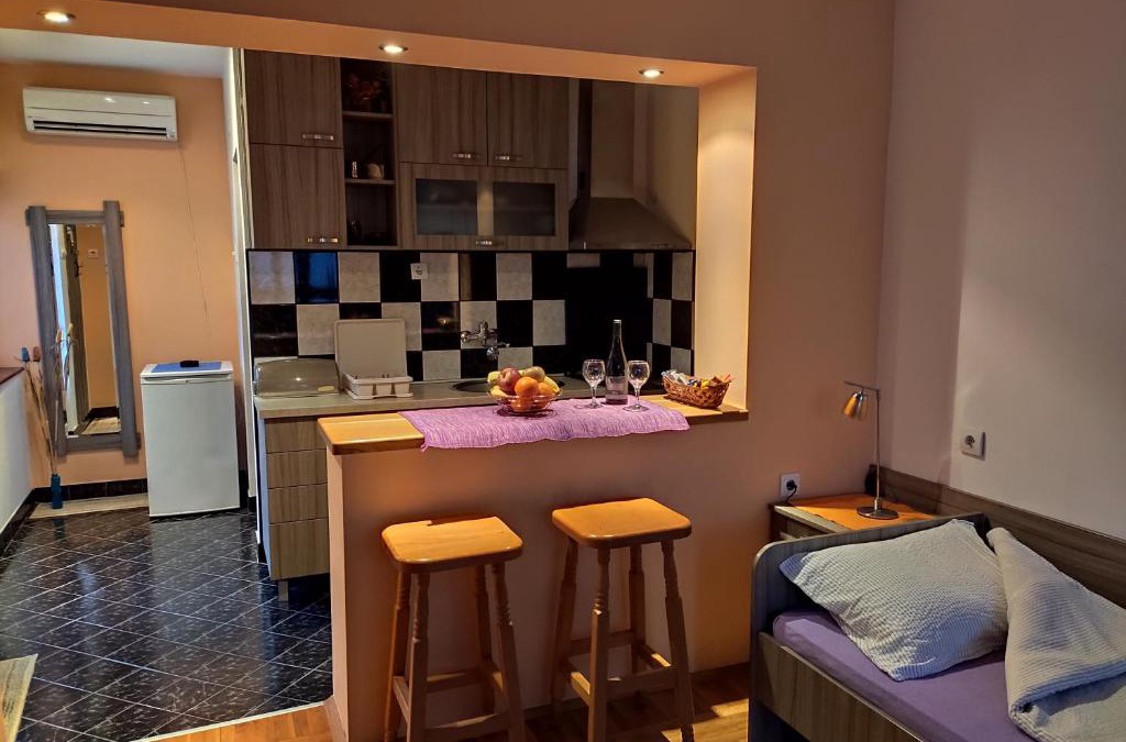 Niska Banja Apartment | Apartman Ristic