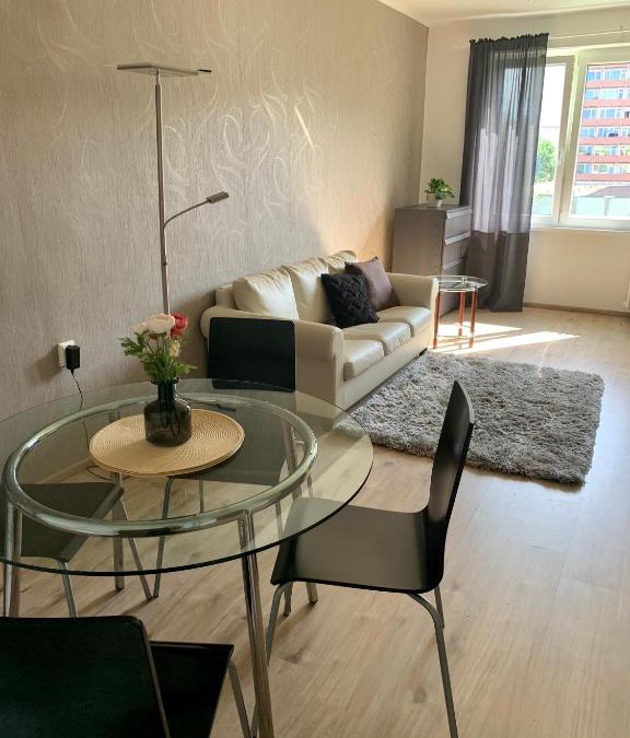 Most Apartment | Apartman Skupovka