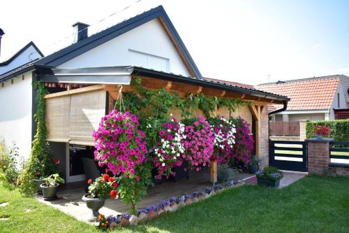 Valpovo Apartment | Apartman Tea