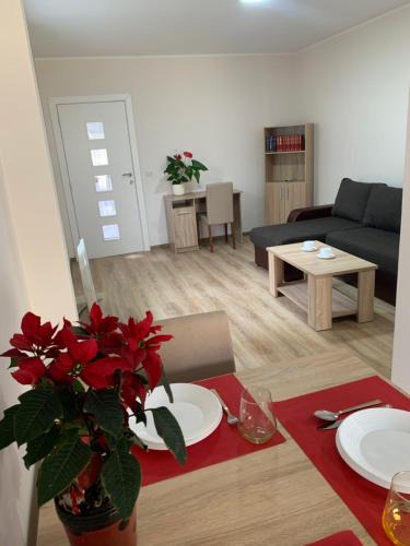 Becej Apartment | Apartman Zmaj