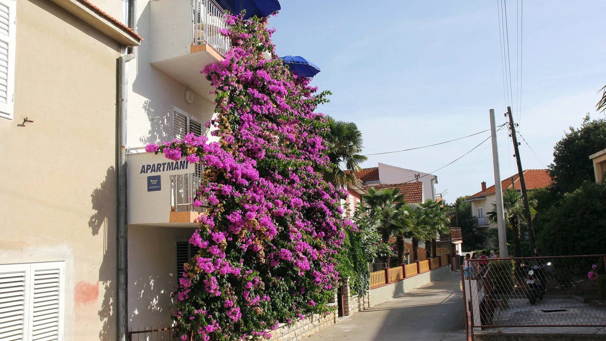 Biograd na Moru Apartment | Apartmani J&R Babara