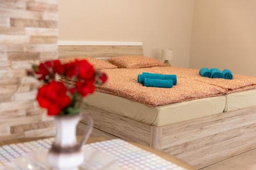 Vojvodina Apartment | Apartmani MARJANOVIĆ Pačir