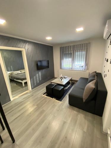 Palic Apartment | Apartmani Mira