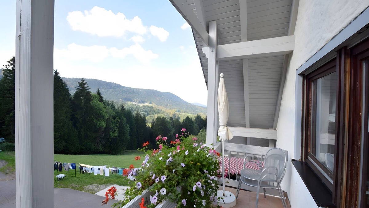 Bad Peterstal-Griesbach Apartment | Apartment '2' with Mountain View, Shared Terrace and Wi-Fi