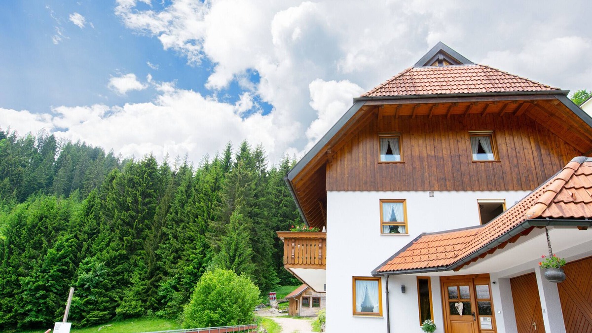 Schonach im Schwarzwald Apartment | Apartment 'Birgit' with Mountain View, Private Terrace and Wi-Fi