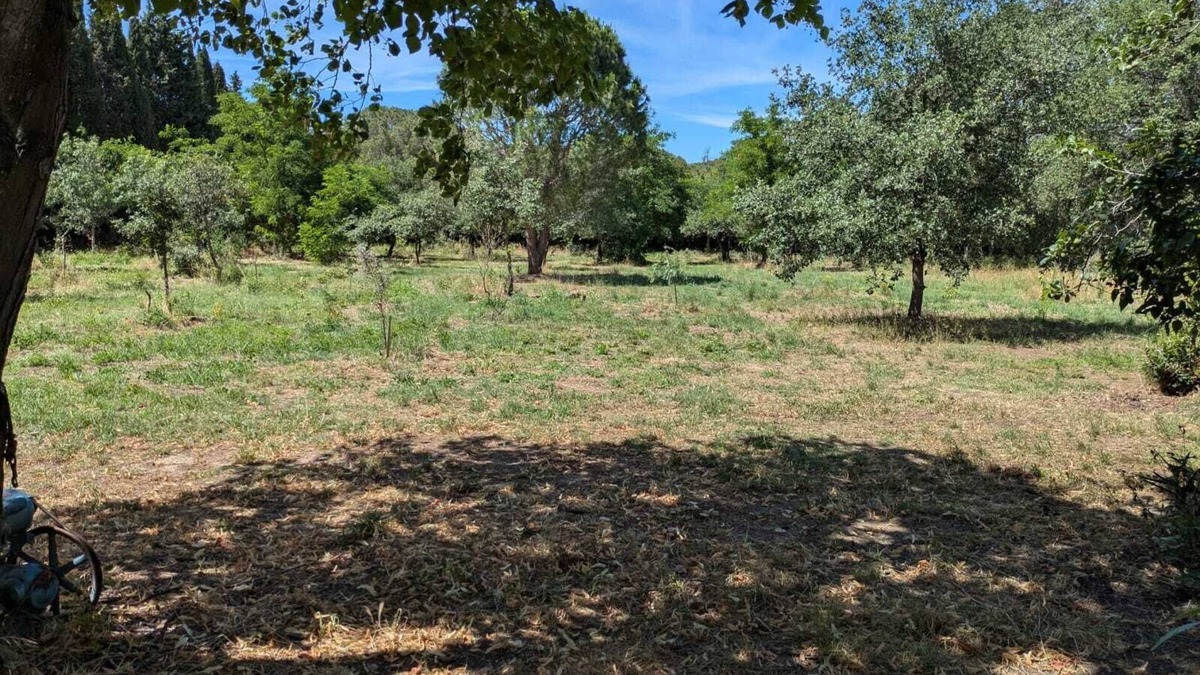 Montesquieu-des-Alberes Apartment | Apartment with garden in a farmhouse
