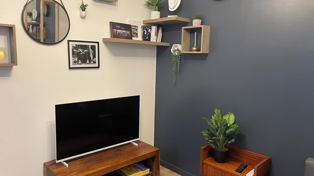 Saint-Symphorien-d'Ozon Apartment | Apartment 1 bedroom 2 persons 2bis