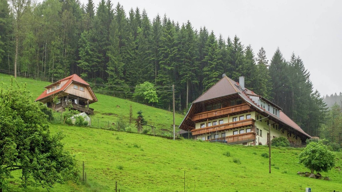 Muehlenbach Other | Apartment on a farm on the edge of the forest