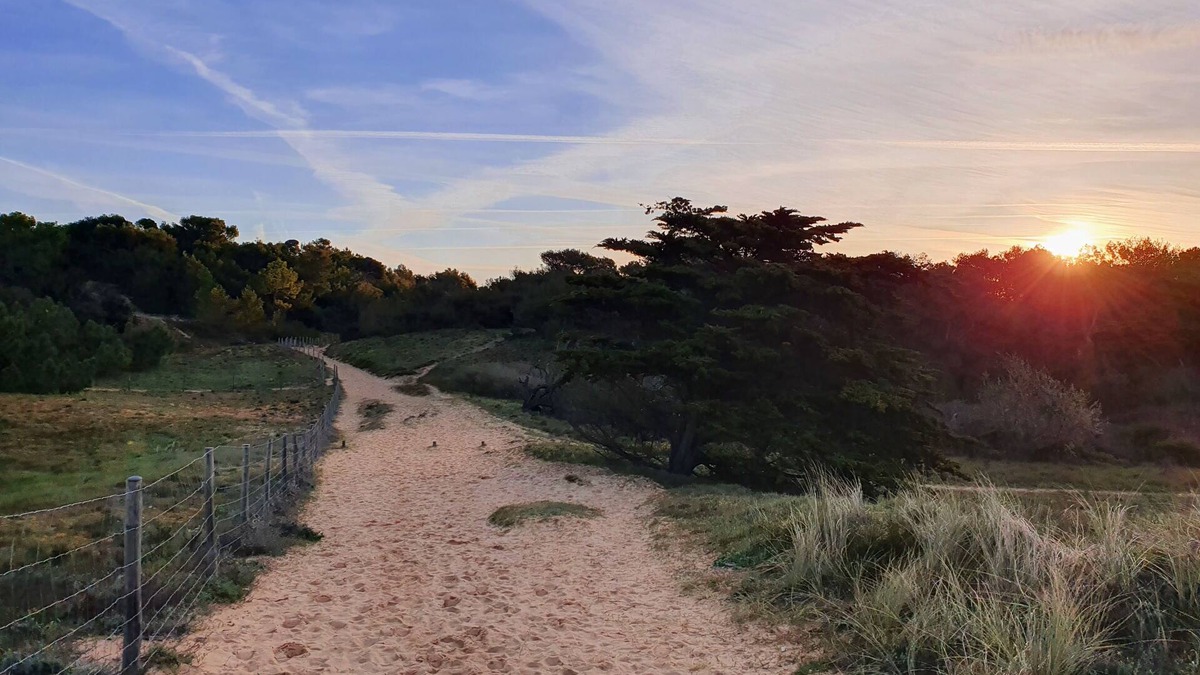 Saint-Georges-d'Oleron Apartment | Apartment 4/6 people Saint Georges d'Oleron/Quiet, direct access to the sea