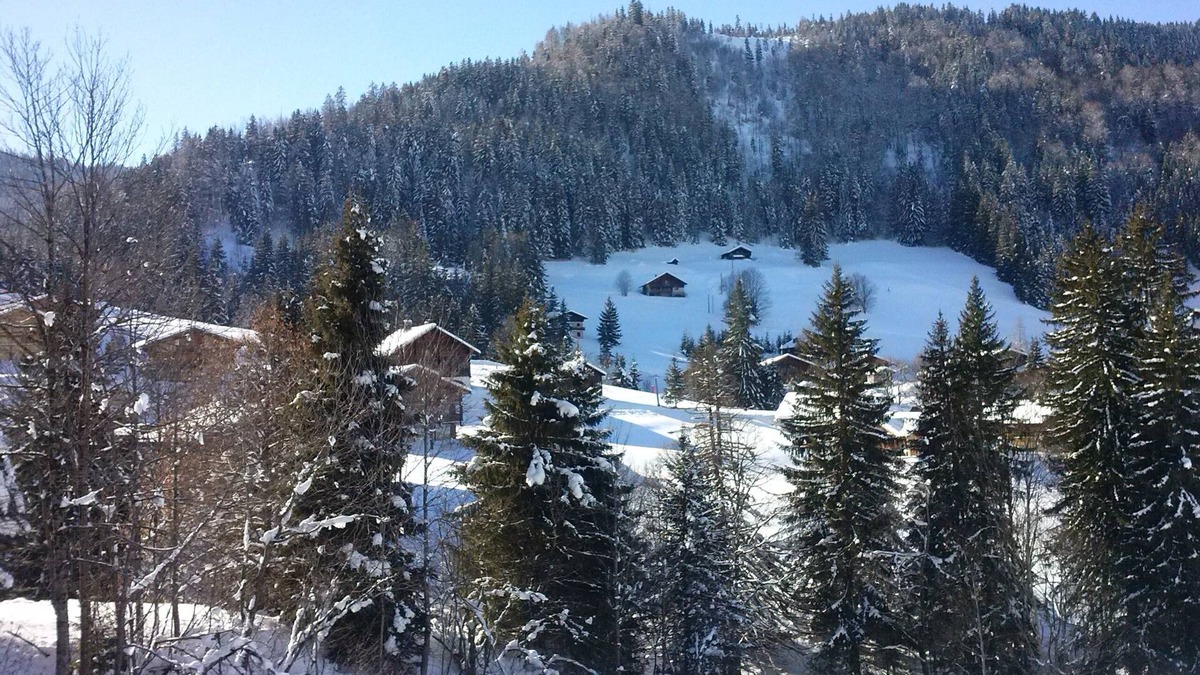 La Clusaz Apartment | Apartment (01/2016) quiet and warm with private garage