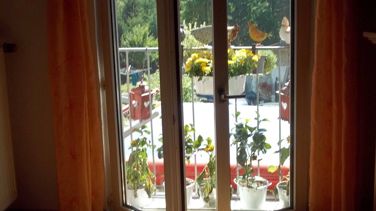 Reetz Apartment | Apartment 1 for 4 people - Ferienwohnungen Willrich