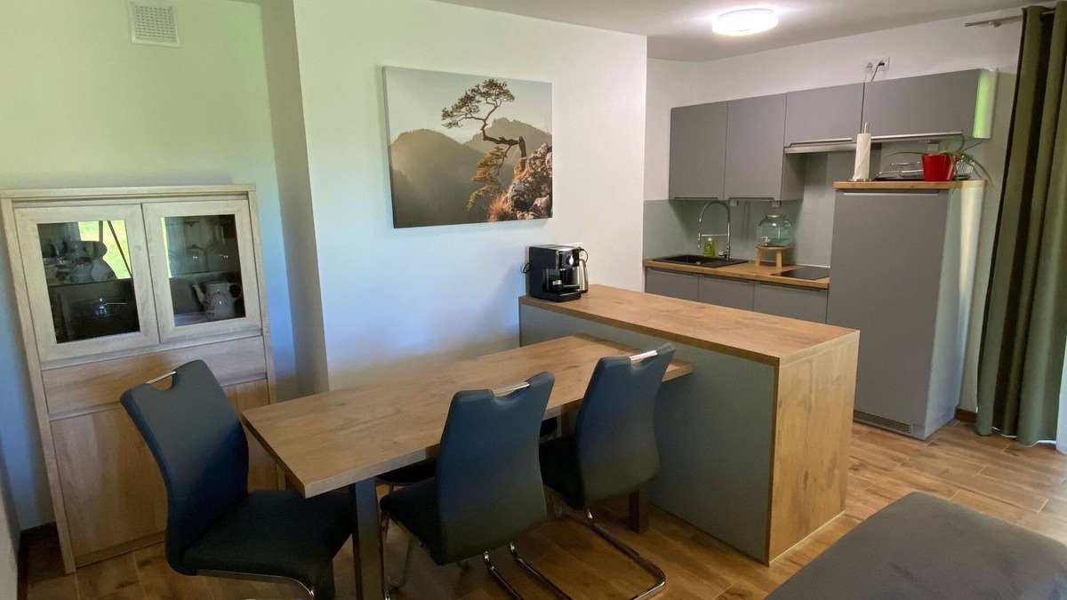 Ustron Apartment | Apartment 2 - Apartamenty Carpe Diem