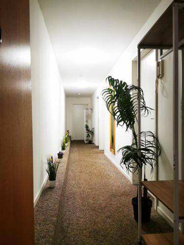 Verden Apartment | Apartment ∙ 4 bedrooms ∙ 8 guests