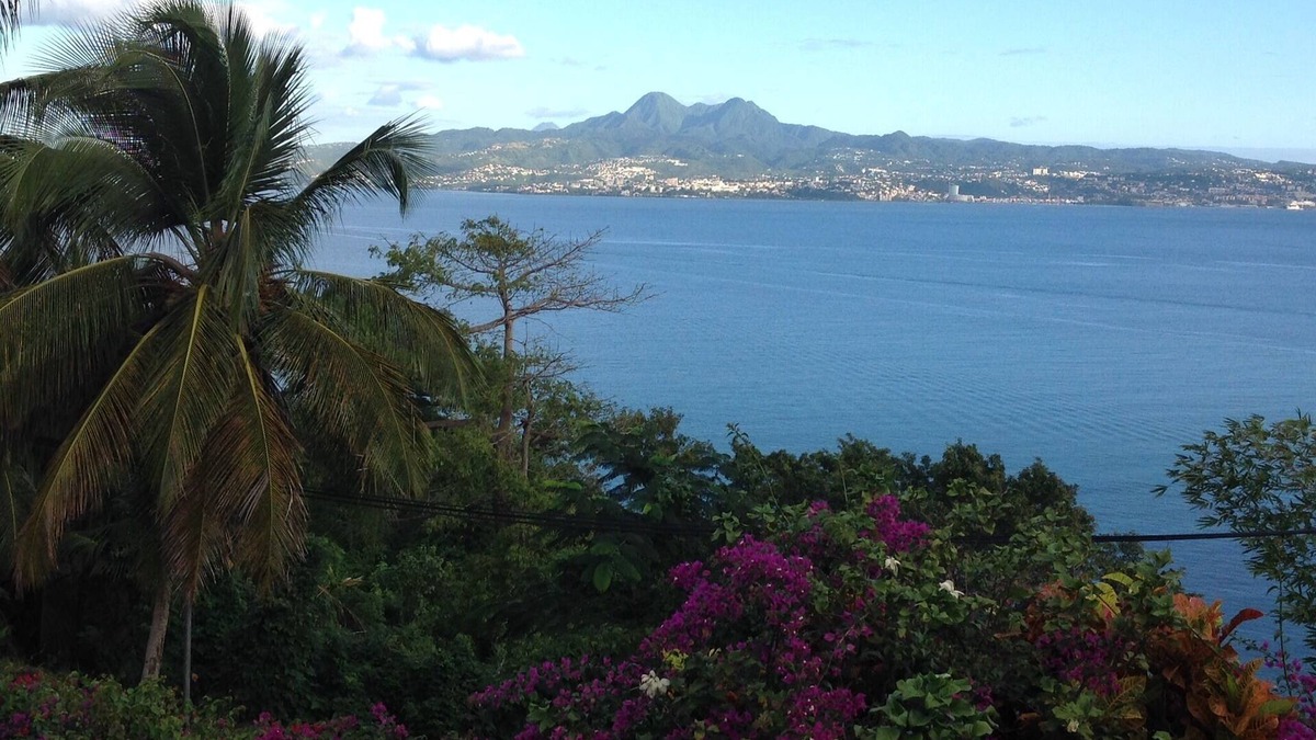 Trois-Ilets Apartment | APARTMENT 40M2 WITH SEA VIEW OF THE CARIBBEAN AND TERRACE