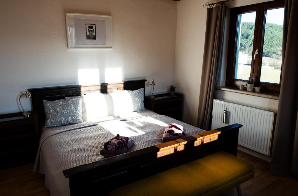 Hoflein an der Hohen Wand Apartment | Apartment 43