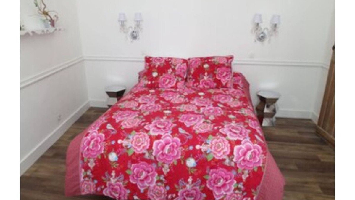 Ecouflant Apartment | APARTMENT 50M2, LOIRE VALLEY